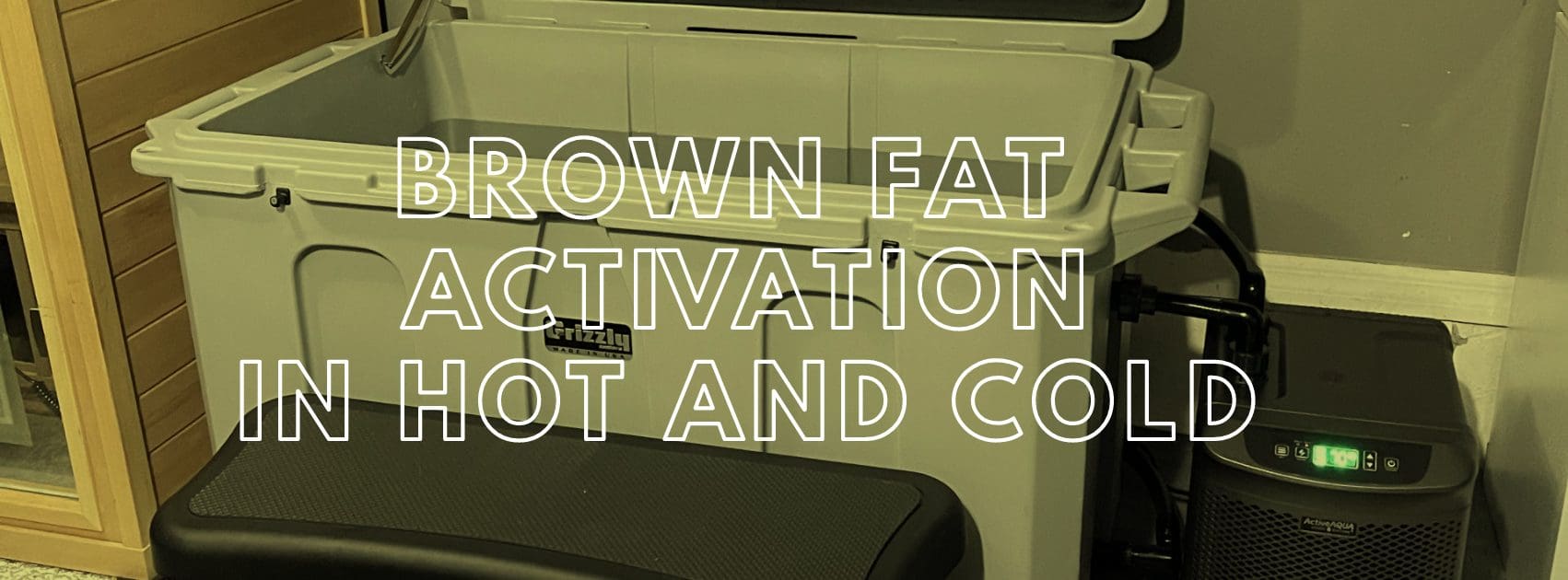 BROWN FAT activation in hot and cold exposure